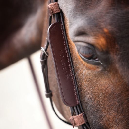 Montants demi-oeillères cheval Velociti Gara - Shires