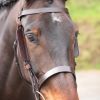 Montants demi-oeillères cheval Velociti Gara - Shires