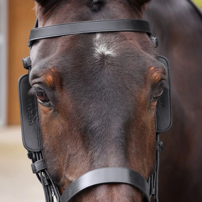Montants demi-oeillères cheval Velociti Gara - Shires
