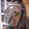 Montants demi-oeillères cheval Velociti Gara - Shires