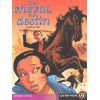 Mon cheval, mon destin - Castor Poche