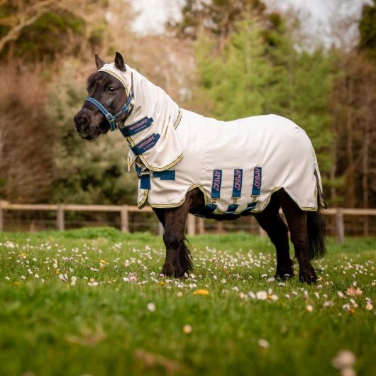 Masque Anti-mouches Cheval Shetland – En Lycra Extensible – À Enfiler – Protection Des Yeux – Taille X-Mini à Standard