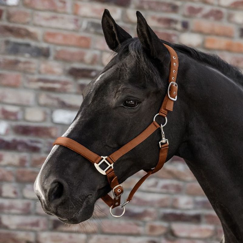 Licol cheval nylon doublé Satin - Waldhausen