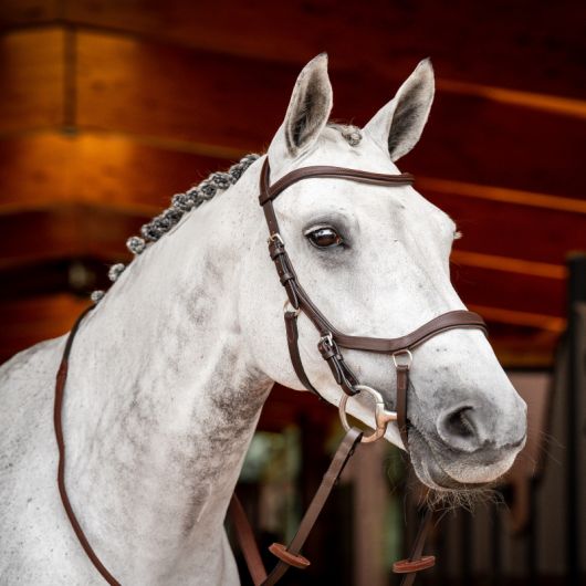Bridon cheval cuir Micklem Competition 2 avec rênes - Horseware