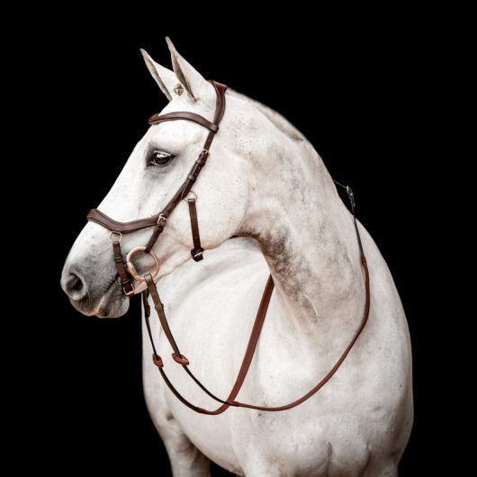 Bridon cheval cuir Micklem Competition 2 avec rênes - Horseware