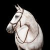 Bridon cheval cuir Micklem Competition 2 avec rênes - Horseware
