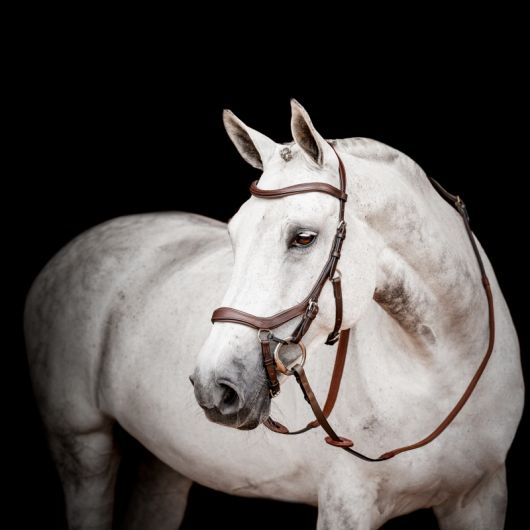 Bridon cheval cuir Micklem Competition 2 avec rênes - Horseware