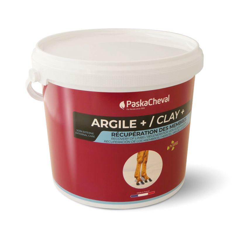 Argile + - Paskacheval
