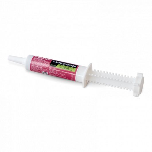 Boost énergie cheval 5 seringue 60 ml Paskabooster - Paskacheval Boost énergie cheval 5 seringue 60 ml Paskabooster - Paskacheval