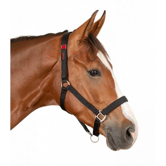 Licol de sécurité cheval Safety - Waldhausen