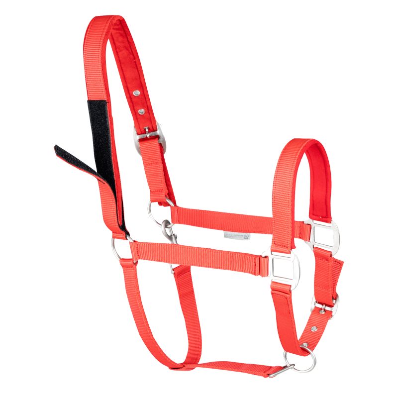 Licol de sécurité cheval Safety - Waldhausen