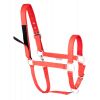 Licol de sécurité cheval Safety - Waldhausen