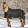 Couverture imperméable cheval Scandic encolure haute 0 g - Waldhausen