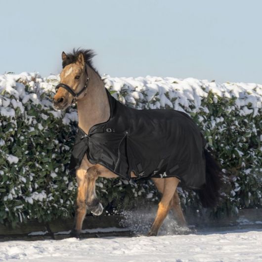 Couverture imperméable cheval Scandic encolure haute 0 g - Waldhausen