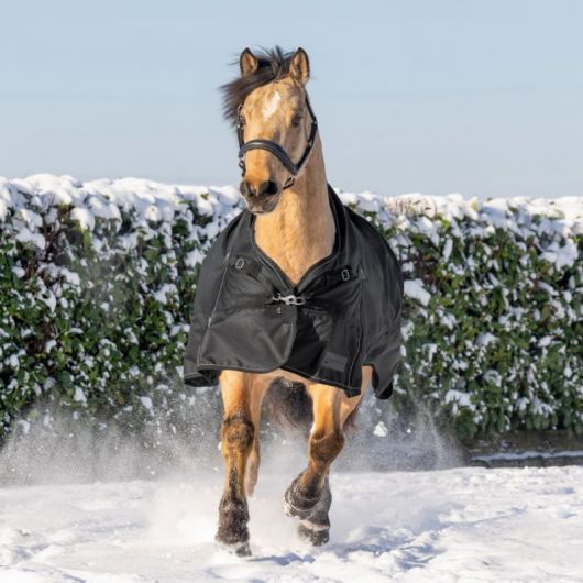 Couverture imperméable cheval Scandic encolure haute 0 g - Waldhausen