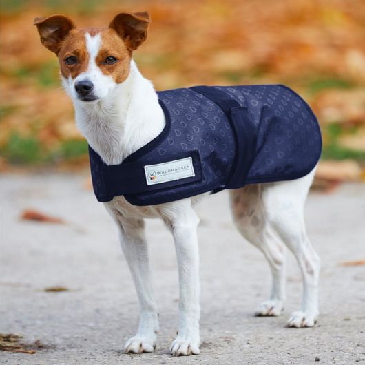 Couverture De Pluie Pour Poney Shetland WALDHAUSEN – Taille 90 Cm, Vert Sapin – Imperméable Et Respirante