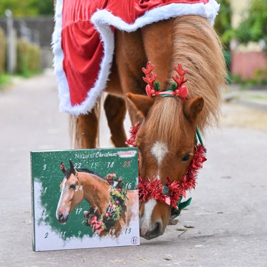 Calendrier de l'avent pour chevaux Natural'Christmas Gourmet - Natural'Innov Calendrier de l'avent pour chevaux Natural'Christmas Gourmet - Natural'Innov