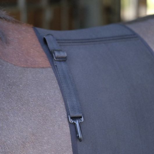 Bande de respect - Protection ventre cheval