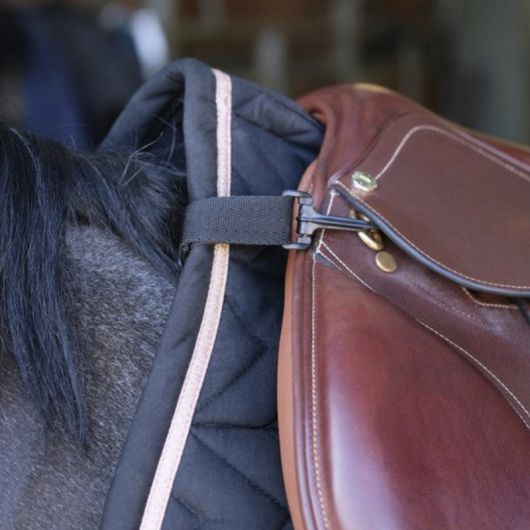 Bande de respect - Protection ventre cheval