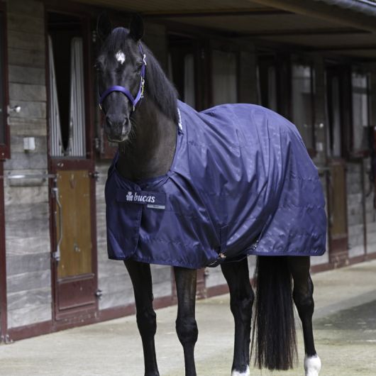 Chemise de box cheval 0g - Bucas