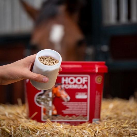 Biotine cheval granulés Hoof Formula - Kevin Bacon's