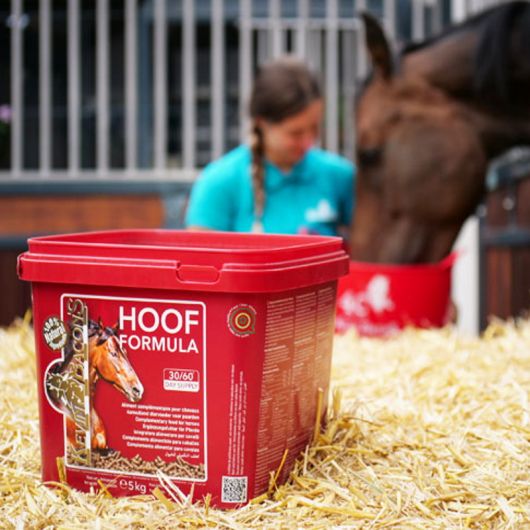Biotine cheval granulés Hoof Formula - Kevin Bacon's