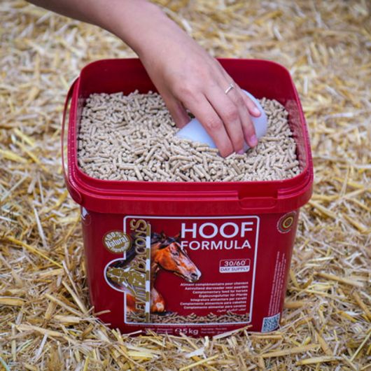 Biotine cheval granulés Hoof Formula - Kevin Bacon's