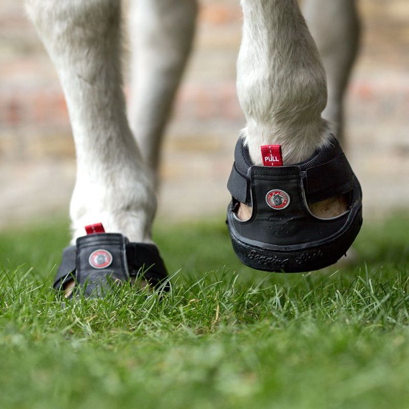 Hipposandale cheval Trecking Slim - Equine Fusion