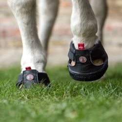Hipposandale cheval Trecking Slim - Equine Fusion