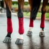 Bandes de polo cheval - Horseware