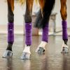 Bandes de polo cheval - Horseware
