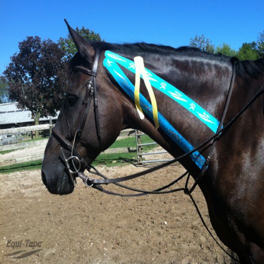 Equi-Tape Cheval