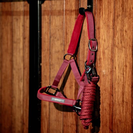 Licol + longe cheval Amigo - Horseware 