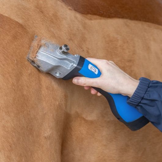 Tondeuse sur batterie Bonum - Aesculap