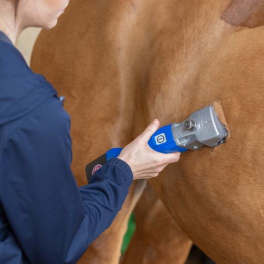 Tondeuse chevaux batterie Econom - Aesculap