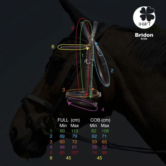 Bridon cheval cuir Evolution Soft T Contact - Ihwt