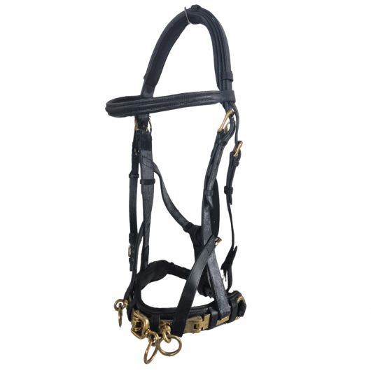 Caveçon cheval en cuir supérieur Caveçon cheval en cuir supérieur