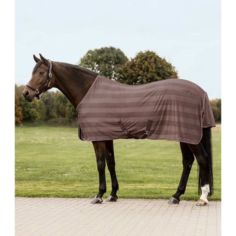 Chemise anti-mouche cheval Economic avec sursangles - Waldhausen 