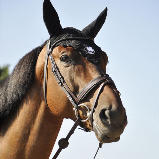 Bridon cheval cuir Evolution Contact - Ihwt 