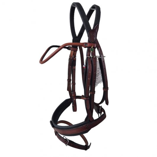Bridon cheval cuir Evolution Contact - Ihwt