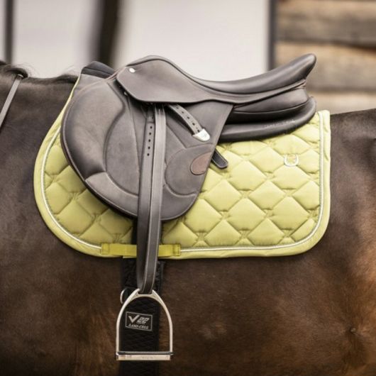 Amortisseur de correction dos cheval - Lami-cell 