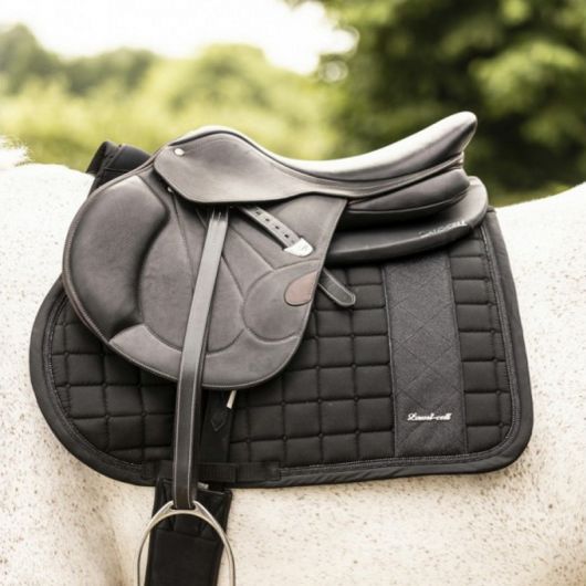 Amortisseur de correction dos cheval - Lami-cell 