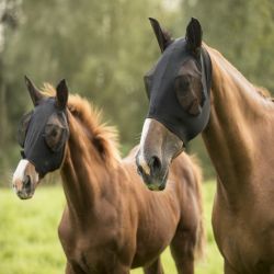 Masque anti-mouche cheval Lycra - Lami Cell