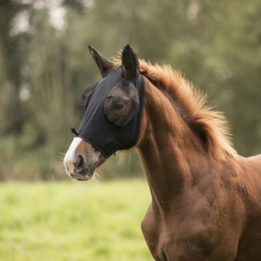 Masque anti-mouche cheval Lycra - Lami Cell