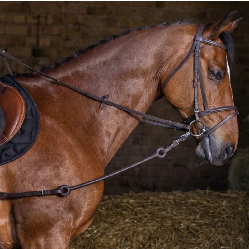 Enrênement Pirelli cheval 