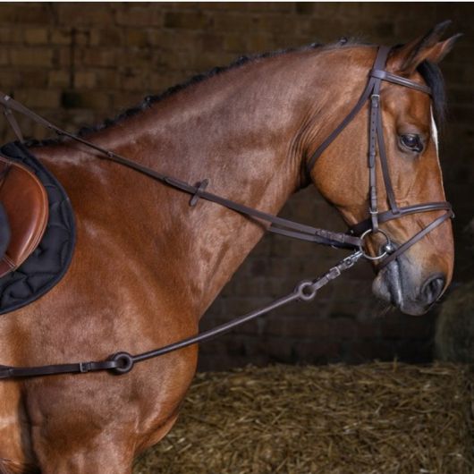 Enrênement Pirelli cheval 