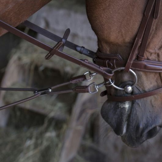 Enrênement élastiques à poulies cheval