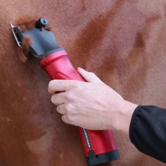 Tondeuse cheval batterie Phoenix - Liveryman 