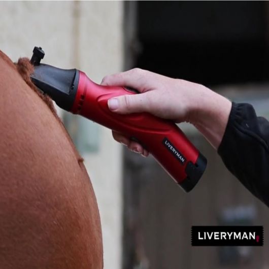 Tondeuse cheval batterie Phoenix - Liveryman 