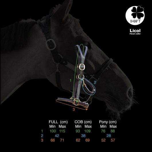 Licol cheval cuir Elegance Disco - IHWT 
